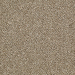 Load image into Gallery viewer, Shaw Inspiring - Prairie (00710) - EA508-00710
