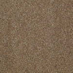Load image into Gallery viewer, Shaw Inspiring - Travertine (00711) - EA508-00711
