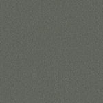 Load image into Gallery viewer, Shaw My Inspiration I - Silver Sage (00350) - EA559-00350
