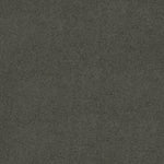 Load image into Gallery viewer, Shaw My Inspiration I - Graphite (00754) - EA559-00754
