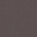 Load image into Gallery viewer, Shaw My Inspiration I - Sepia (00950) - EA559-00950
