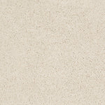 Load image into Gallery viewer, My Inspiration Ii Shaw nylon carpet

