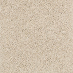 Load image into Gallery viewer, Shaw My Inspiration Ii - French Linen (00103) - EA560-00103
