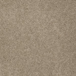 Load image into Gallery viewer, Shaw My Inspiration Ii - Latte (00152) - EA560-00152
