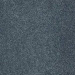 Load image into Gallery viewer, Shaw My Inspiration Ii - Old Blue Eyes (00450) - EA560-00450

