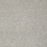 Load image into Gallery viewer, Shaw My Inspiration Ii - Ash (00550) - EA560-00550
