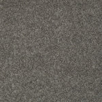 Load image into Gallery viewer, Shaw My Inspiration Ii - Graphite (00754) - EA560-00754
