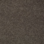 Load image into Gallery viewer, Shaw My Inspiration Ii - Chocolate (00758) - EA560-00758
