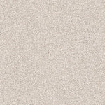 Load image into Gallery viewer, Exploration Shaw nylon carpet
