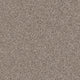 Barn Wood (00104)