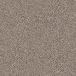Load image into Gallery viewer, Shaw Exploration - Barn Wood (00104) - EA701-00104
