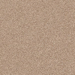 Load image into Gallery viewer, Shaw Exploration - Caravan (00701) - EA701-00701
