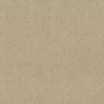 Load image into Gallery viewer, Shaw Find Your Comfort I - Tonal - Sun Kissed (T) (110T) - EA817-110T
