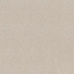 Load image into Gallery viewer, Find Your Comfort I - Tonal Shaw nylon carpet
