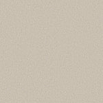 Load image into Gallery viewer, Find Your Comfort Ii - Tonal Shaw nylon carpet
