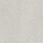 Load image into Gallery viewer, Shaw Find Your Comfort Ii - Tonal - Morning Dew (T) (539T) - EA818-539T
