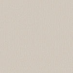 Load image into Gallery viewer, Shaw Endless Memories - Champagne Toast (00153) - EA834-00153
