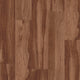 Sugar Maple (0780)