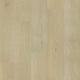 Parchment (8002)