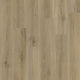 Edgewood (2104)