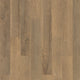 Riverbank Oak (348)