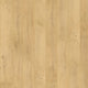 Wheat Field Oak (142)