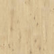 Tender Twig Oak (138)