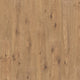 Thorny Hedge Oak (258)