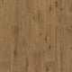 Brown Bark Oak (862)