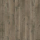 Oyster Oak (239)