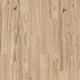 Appaloosa Hickory (133)