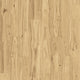 Chisolm Hickory (258)