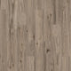 Palomino Hickory (859)