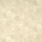 Load image into Gallery viewer, Mohawk Aspen Harvest — Pashmina (530)
