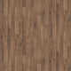 Almond Oak 743 (743)
