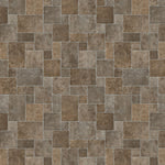 Load image into Gallery viewer, Mohawk Elan Peak — Endemic (990)
