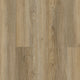 Brushed Beige (220)