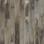Load image into Gallery viewer, Mohawk Explorer's Cove — Raccoon (259)
