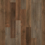 Load image into Gallery viewer, Mohawk Explorer's Cove — Shadow Woodlands (822)
