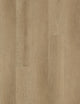 Driftwood (167)