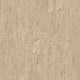 Crowned Kinglet Oak (220)