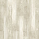 Warbler Oak (360)