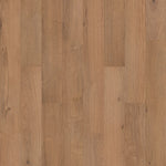 Load image into Gallery viewer, Mohawk Ashland Crest — Phoenix (473)
