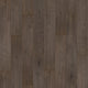 Anchor Oak