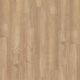 Sesame Acacia