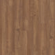 Almond Acacia