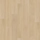Soft Oat Hickory