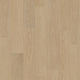 Limestone Oak