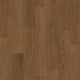 Umber Oak