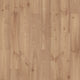 Brass Chestnut